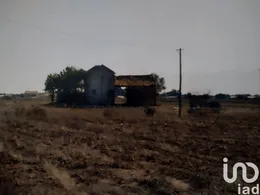 Terreno em Alpiarça