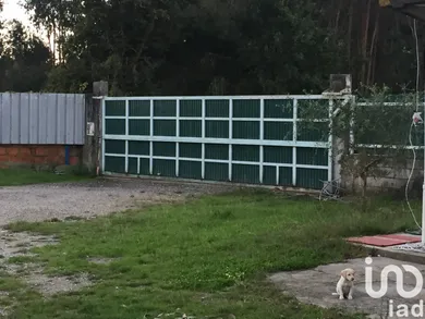 Terreno  em Avanca