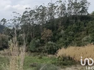 Land  at Vila Verde dos Francos