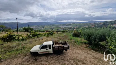 Casa  em Lamego (Almacave e Sé)