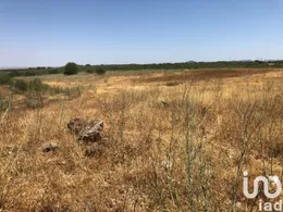Farm land in Moura (Santo Agostinho e São João Baptista) e Santo Amador