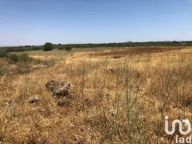 Farm land  in Moura (Santo Agostinho e São João Baptista) e Santo Amador