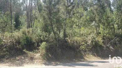 Terreno em Luzim e Vila Cova