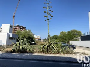 Terreno  em Marinha Grande