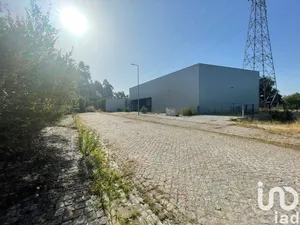 Loja / Estabelecimento Comercial  em Mujães