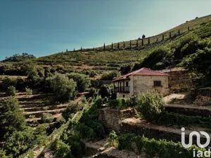 Quinta  em Tabuaço