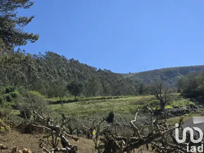 Fotografia 1 de Terreno de 4712 m² em Lamas e Cercal