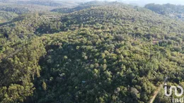 Terreno  em Chãos