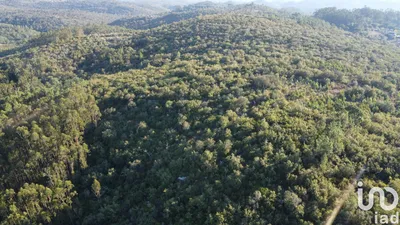Fotografia 3 de Terreno de 14 600 m² em Chãos