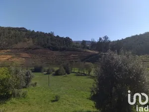 Casa de campo  em Arganil