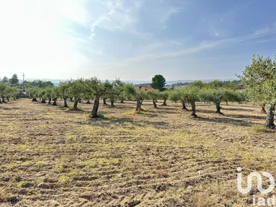 Land at Açores e Velosa