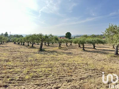 Fotografia 4 de Terreno urbano de 3000 m² em Lajeosa do Mondego