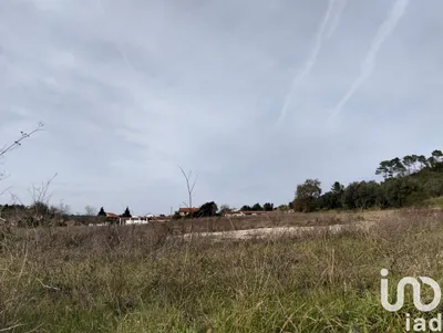 Fotografia 3 de Terreno de 13 080 m² em Tomar (São João Baptista) e Santa Maria dos Olivais