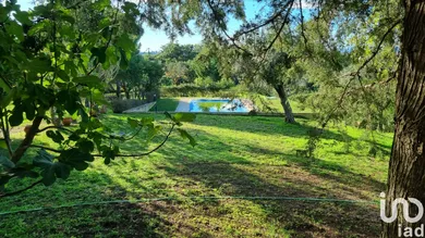Quinta em Castelo Branco