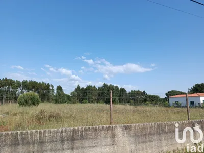 Fotografia 3 de Terreno de 4990 m² em Benavente