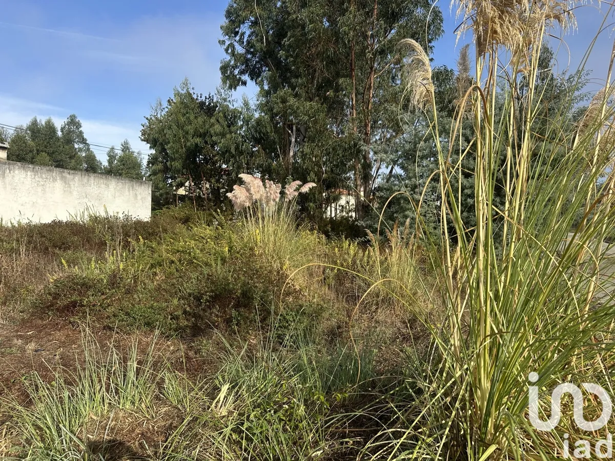 Terreno de 414 m² em Requeixo, Nossa Senhora de Fátima e Nariz