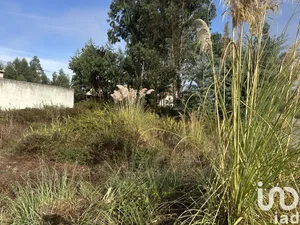 Land at Requeixo, Nossa Senhora de Fátima e Nariz