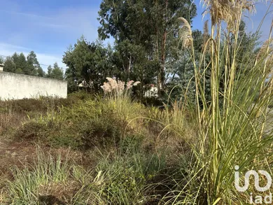 Land at Requeixo, Nossa Senhora de Fátima e Nariz