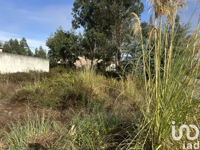 Fotografia 7 de Terreno urbano de 683 m² em Fermentelos