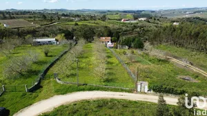 Quinta  em Ribafria e Pereiro de Palhacana