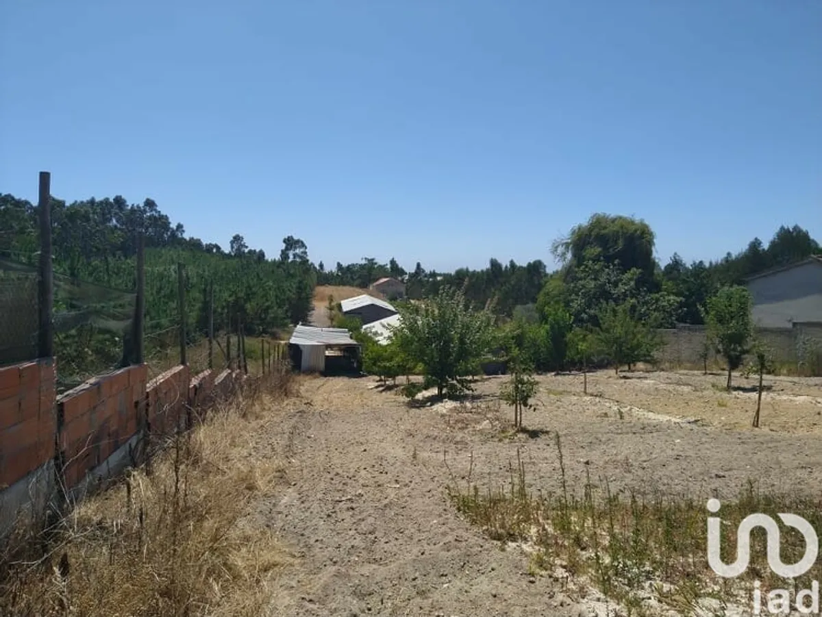 Terreno rústico de 5244 m² em Silveira