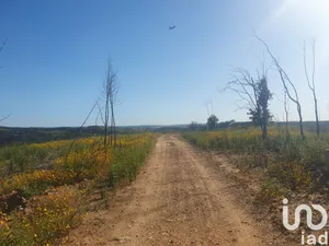 Land at Mexilhoeira Grande