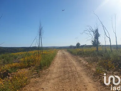 Terreno em Mexilhoeira Grande