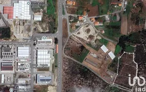 Land  at Vieira de Leiria