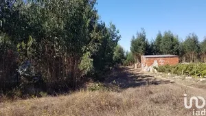 Terrain agricole à São Bartolomeu dos Galegos e Moledo