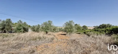 Fotografia 7 de Terreno rústico de 8560 m² em Rio Maior