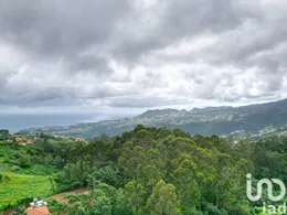 Terreno urbano em São Jorge