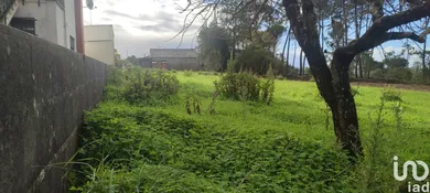 Terreno urbano  em Caranguejeira