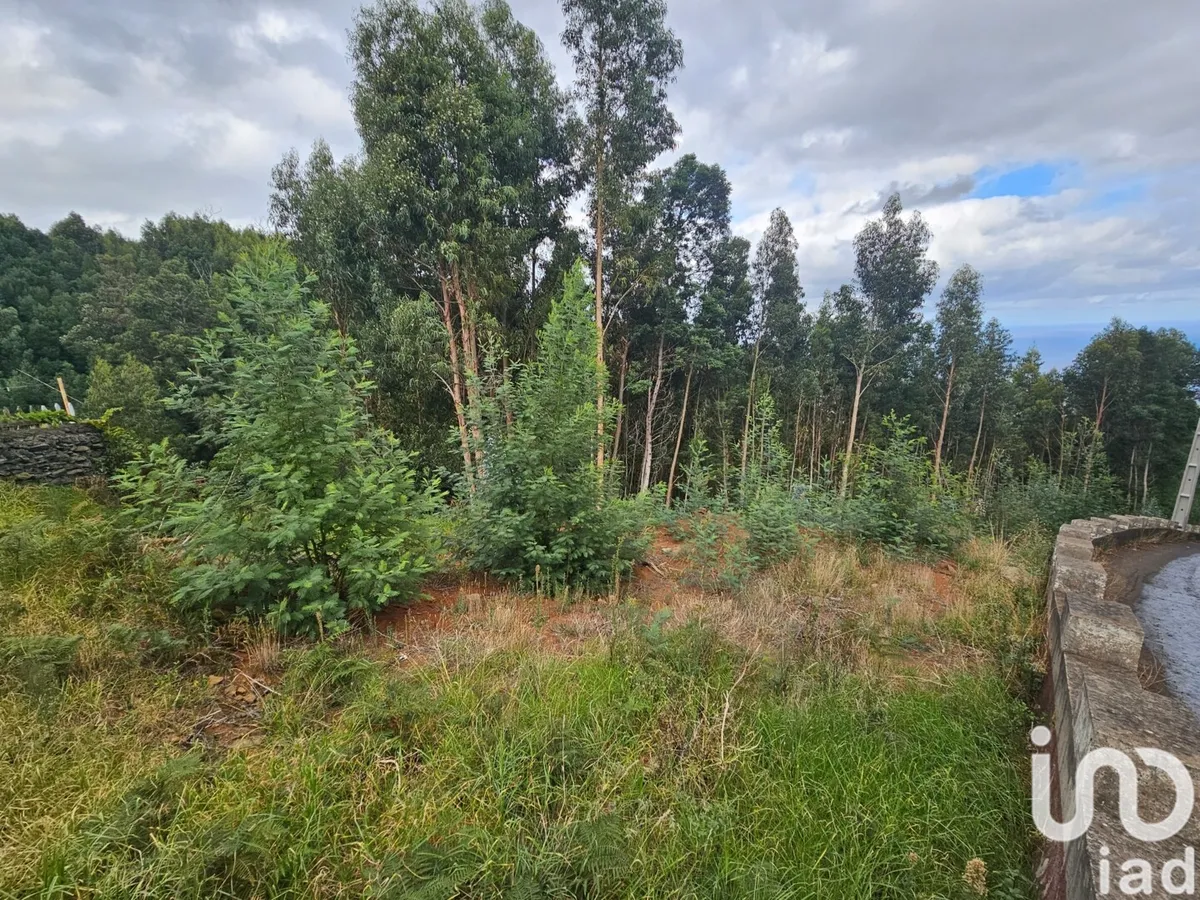 Terreno de 4380 m² em Gaula