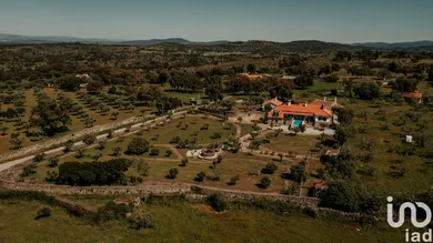 Ferme à Idanha-a-Nova e Alcafozes