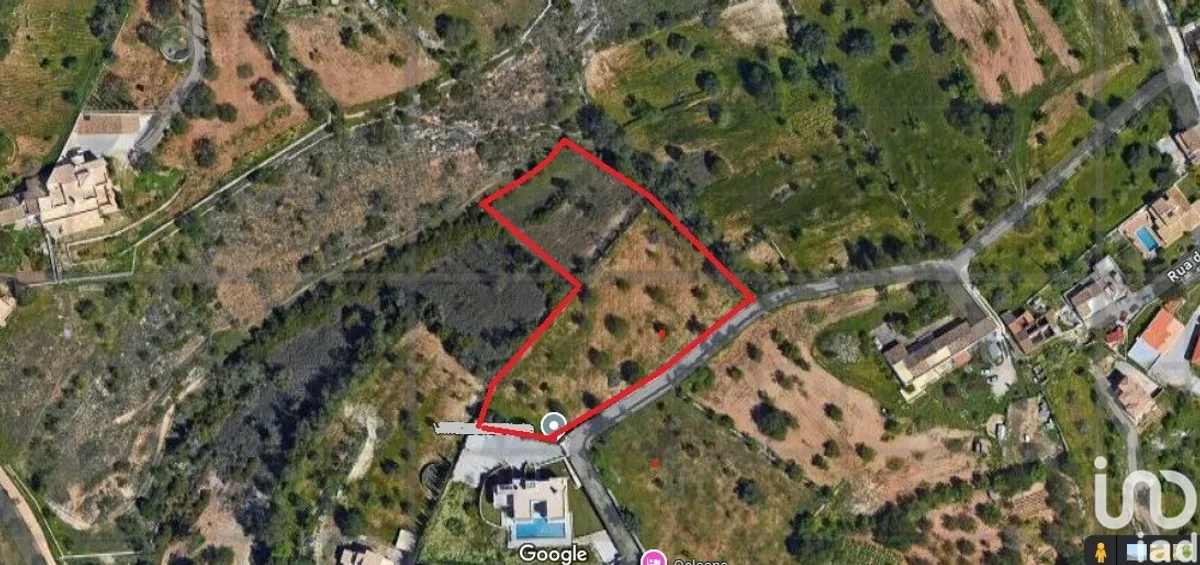 Terreno de 5000 m² em Boliqueime