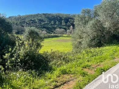 Terrain  à Santo Isidoro