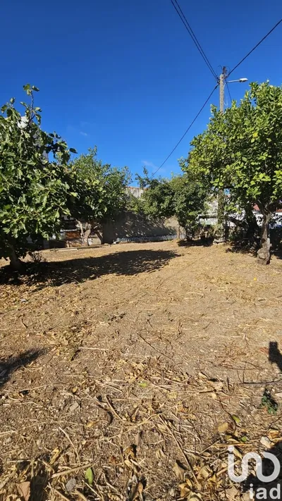 Fotografia 5 de Terreno de 7500 m² em Loulé