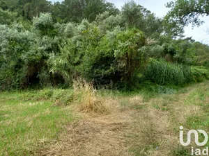 Land  at Santo Isidoro