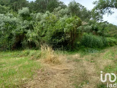 Terreno em Santo Isidoro