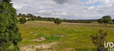 Terreno urbano  em Branca