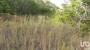 Land at Loulé (São Clemente)