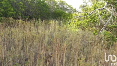 Land  at Loulé (São Clemente)