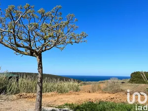 Land  in Lourinhã e Atalaia