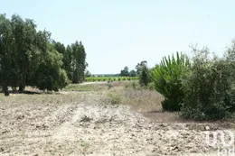 Terrain à batir à Pegões