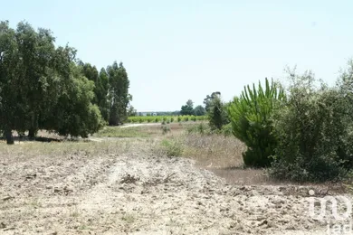 Terrain à batir  à Pegões