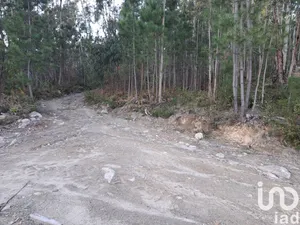 Land  at Pico de Regalados, Gondiães e Mós