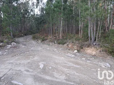 Land  at Pico de Regalados, Gondiães e Mós