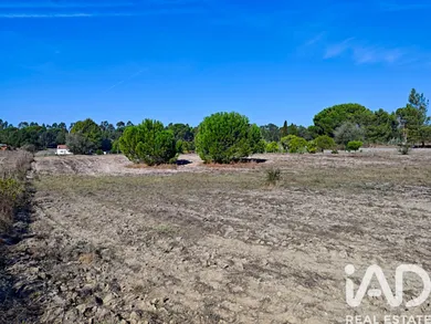 Land  in Coruche, Fajarda e Erra