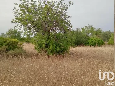 Terreno  em Moncarapacho e Fuseta