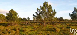 Terreno em Vila do Bispo e Raposeira